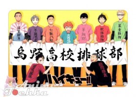 Haikyuu 28